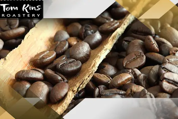 خرید قهوه عربیکا 100 درصد