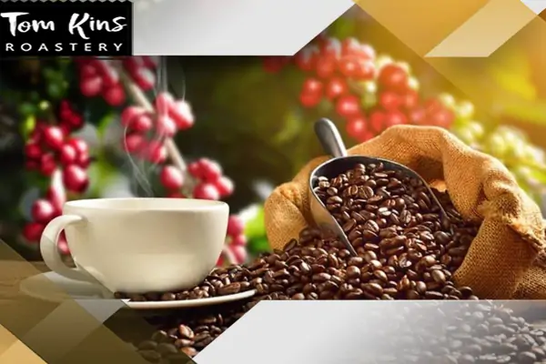 خرید قهوه عربیکا اصل