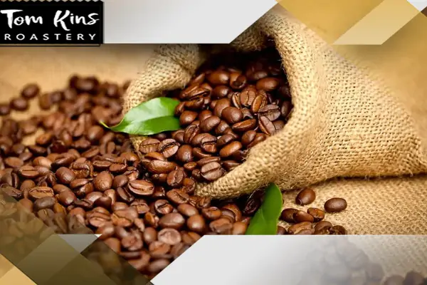قیمت قهوه سبز عربیکا