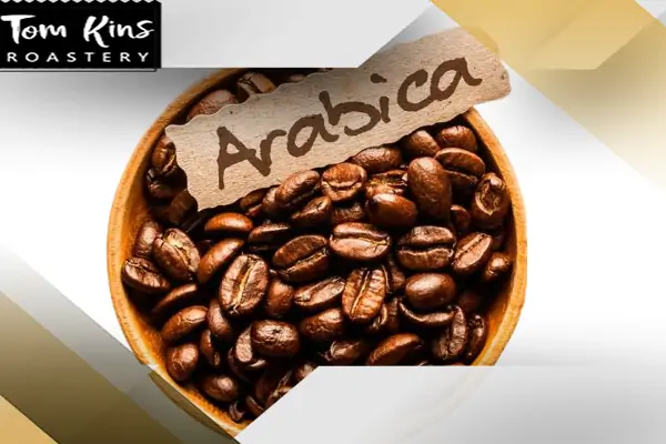 قهوه عربیکا چیست